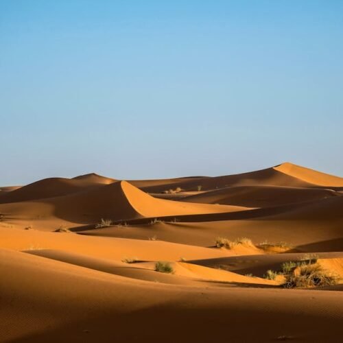 Desert Wilderness - Scenic view of Sahara Desert sand dunes in Moroc #998653